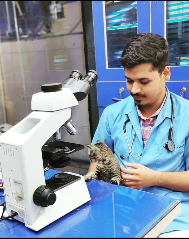In-house diagnostic laboratory at Shivraj Pet Clinic and Lab, Pune