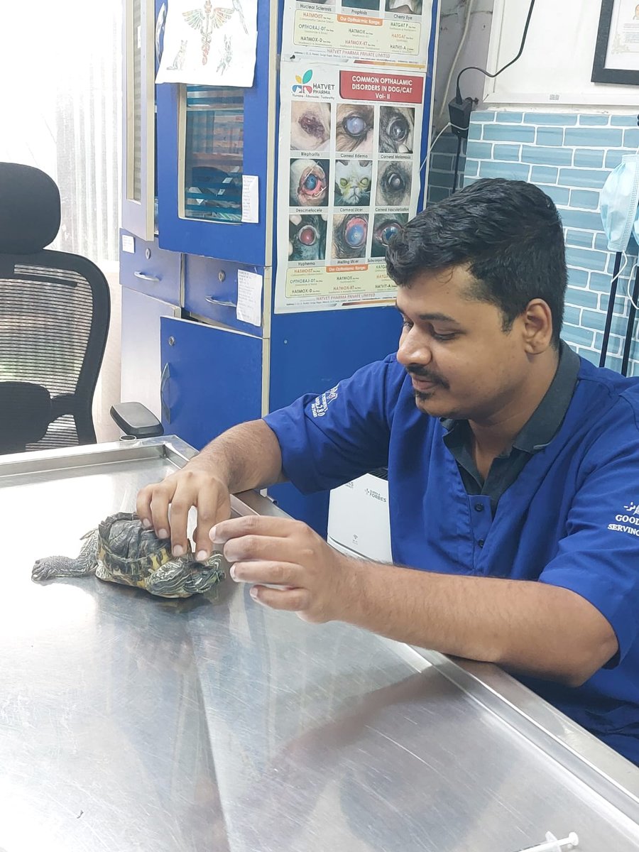 Dr. Pritesh Vidhate examining a turtle at Shivraj Pet Clinic