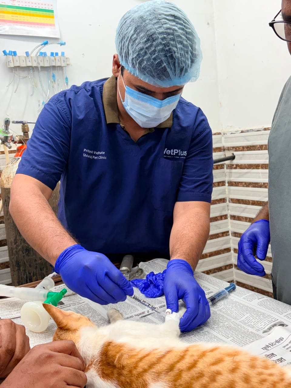 Dr. Pritesh Vidhate in surgical scrubs operating on an anaesthetised cat