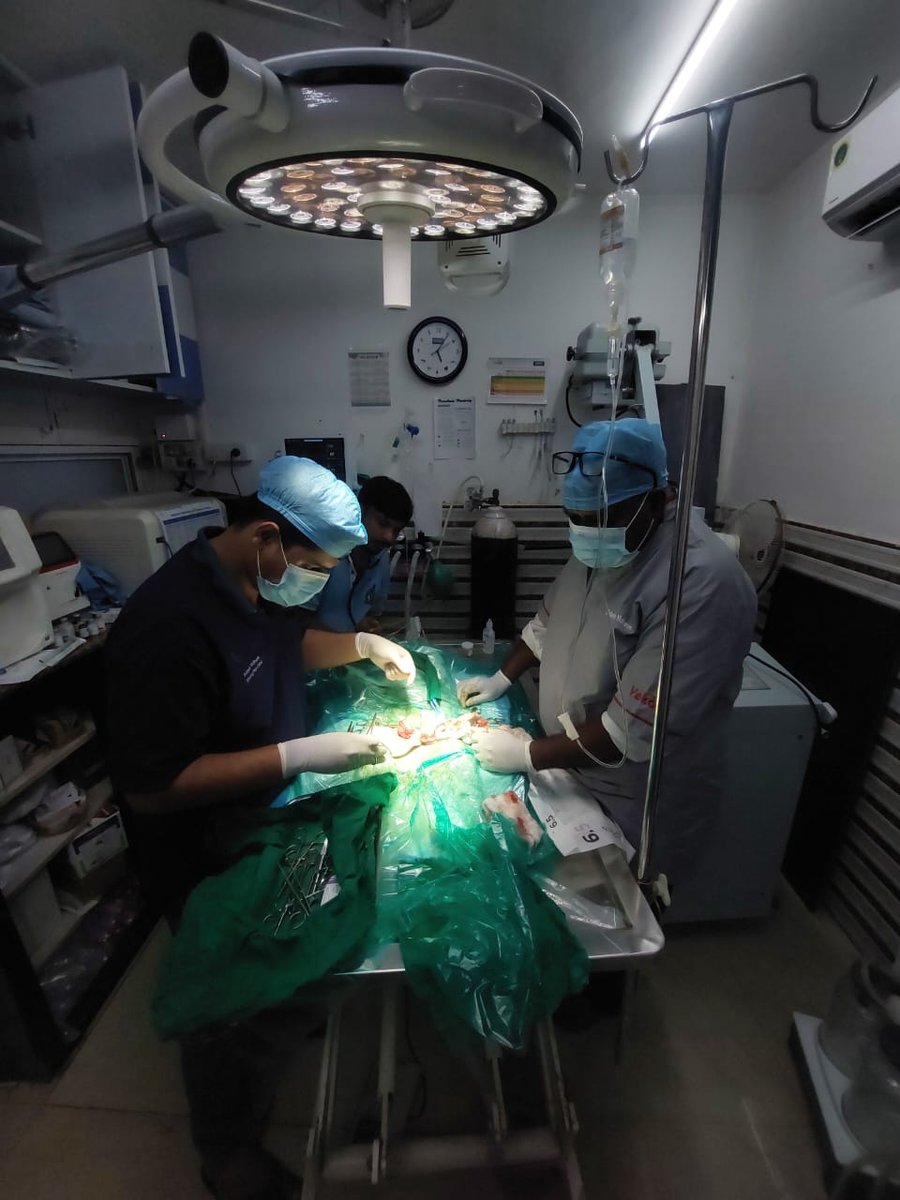 Surgical team operating at Shivraj Pet Clinic
