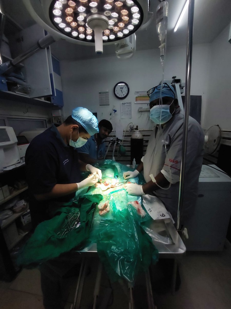 Veterinary surgeon performing foreign body removal surgery on a dog